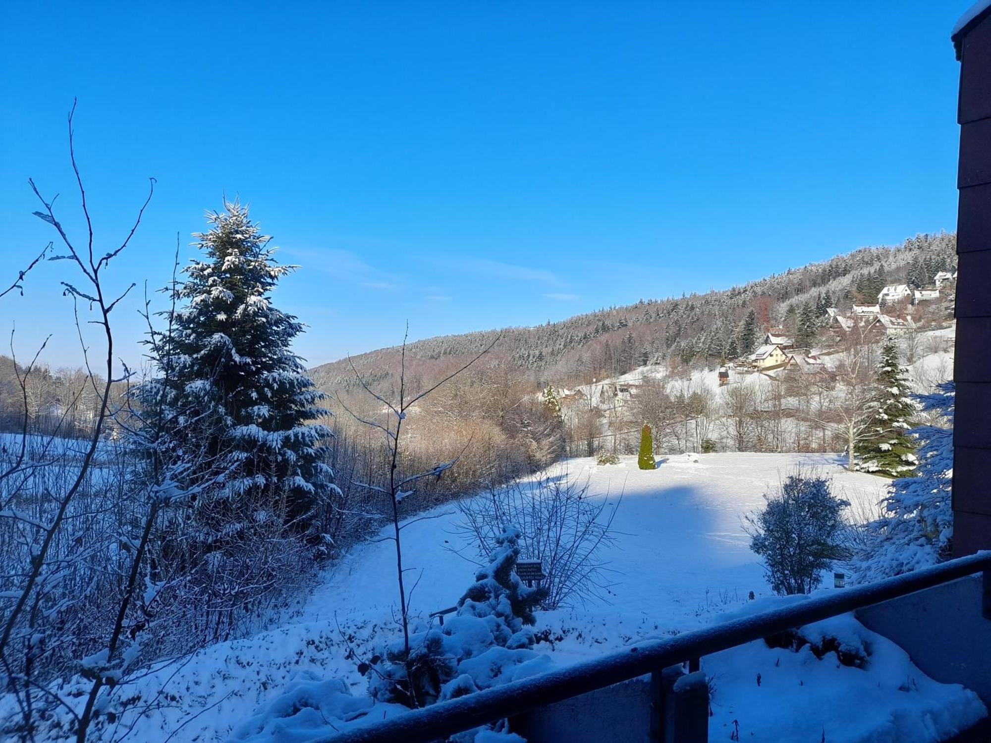 Schwarzwald Pur Apartamento Sasbachwalden Exterior foto