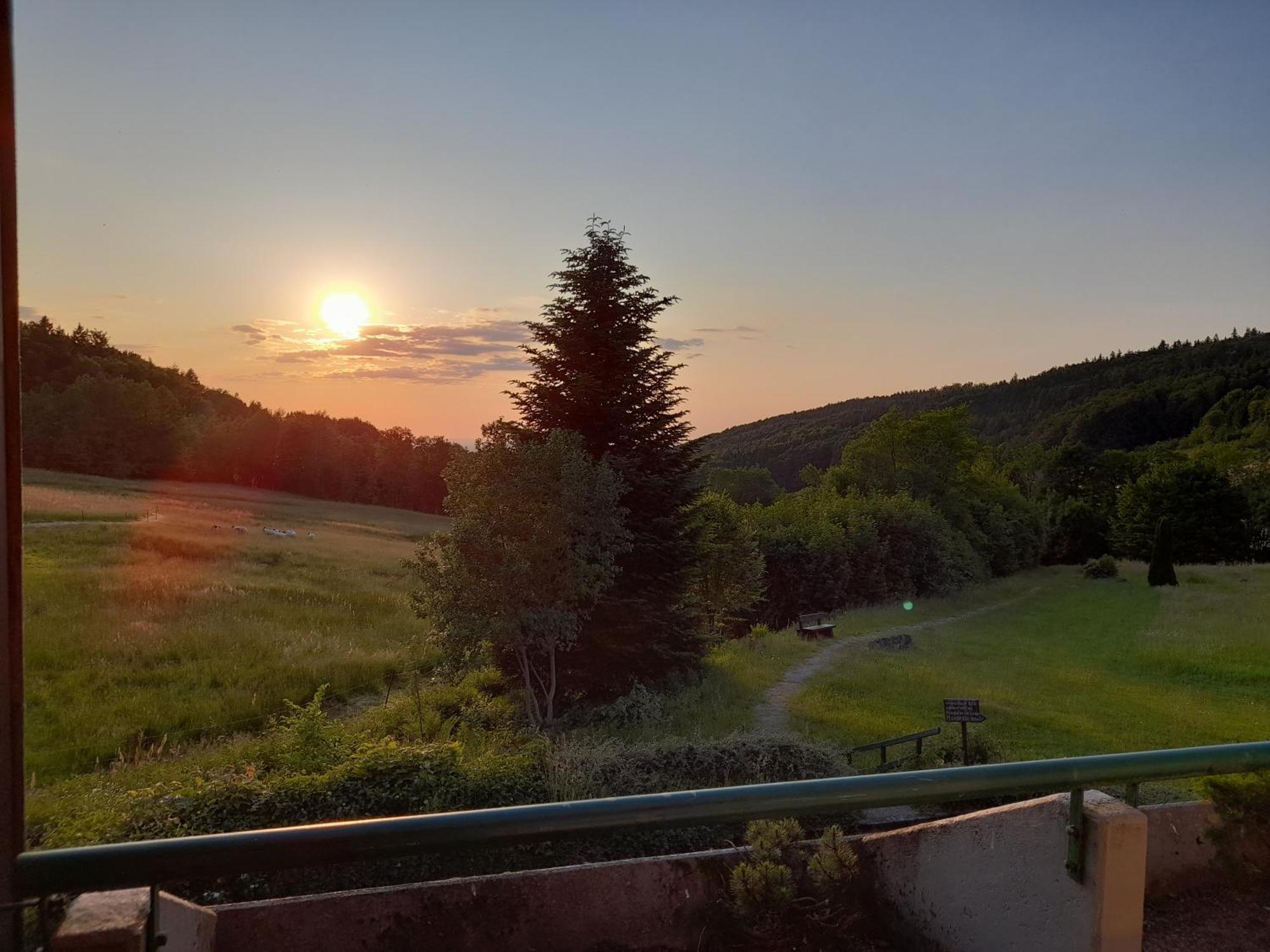 Schwarzwald Pur Apartamento Sasbachwalden Exterior foto