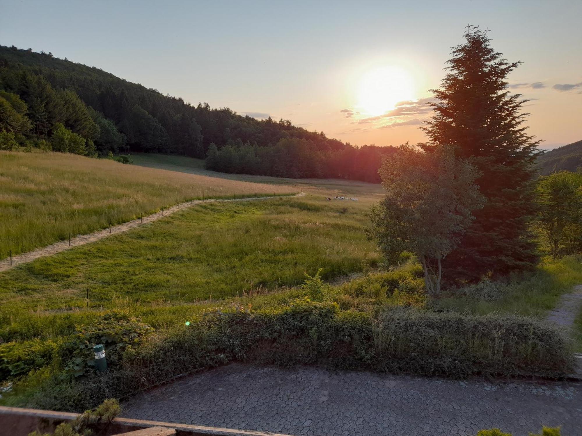 Schwarzwald Pur Apartamento Sasbachwalden Exterior foto
